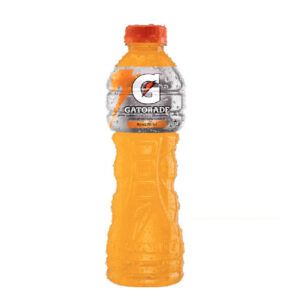 Gatorade Pet 500 ml