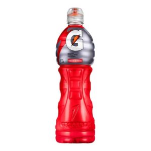 Gatorade Pet 591 ml